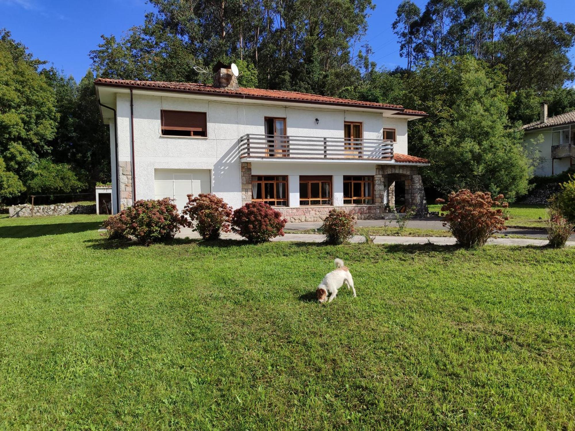 Chalet Las Llamas Llanes Eksteriør billede